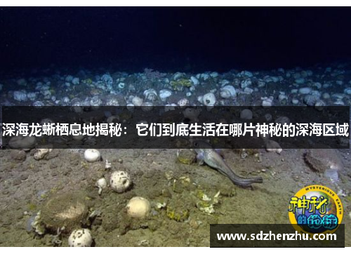 深海龙蜥栖息地揭秘：它们到底生活在哪片神秘的深海区域