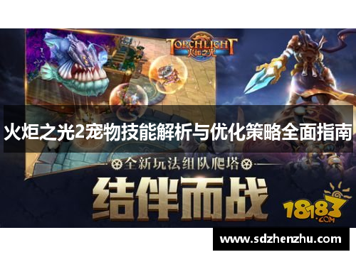 火炬之光2宠物技能解析与优化策略全面指南