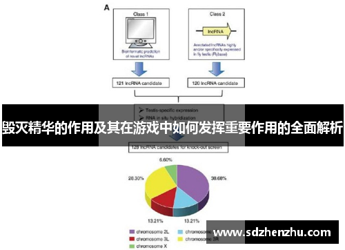 毁灭精华的作用及其在游戏中如何发挥重要作用的全面解析