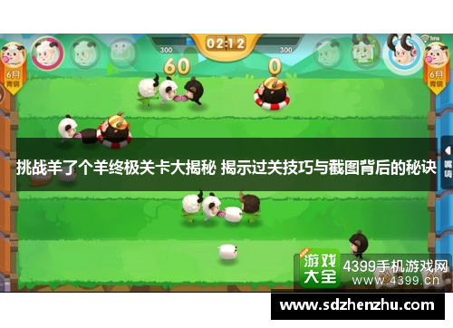 挑战羊了个羊终极关卡大揭秘 揭示过关技巧与截图背后的秘诀